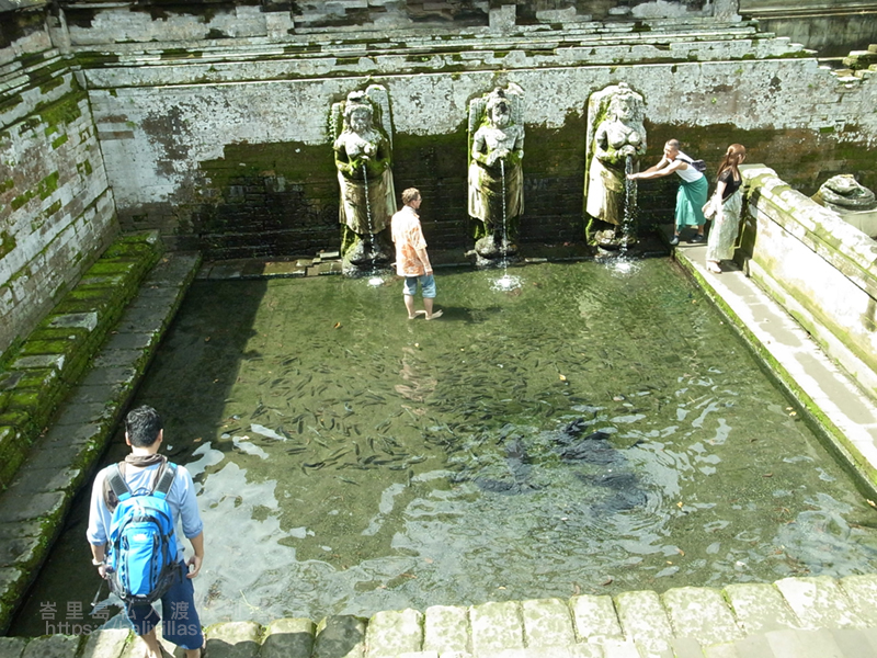 裡面還有魚 女神雕像浴池分男女 