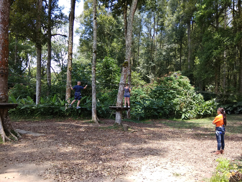 樹頂冒險公園 Bali Tree Top adventure